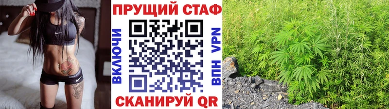 Наркотические вещества Малгобек СК  Псилоцибиновые грибы  Гашиш  Каннабис  КОКАИН 