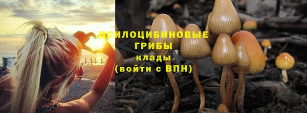 амф Коряжма