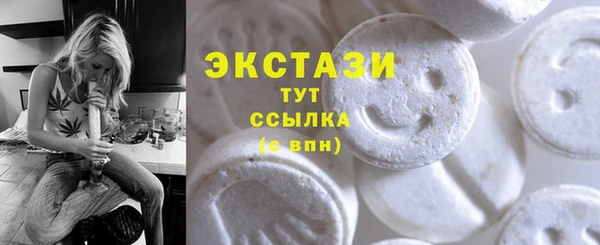 ECSTASY Краснослободск