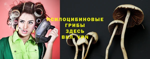 ECSTASY Краснослободск