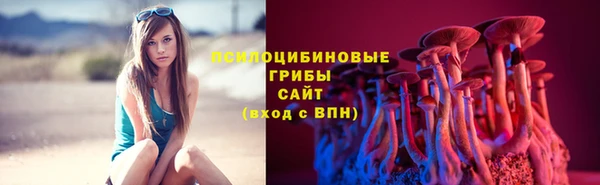 дурь Краснотурьинск